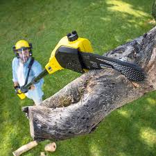 Best Grass Overseeding  in Eureka, MO