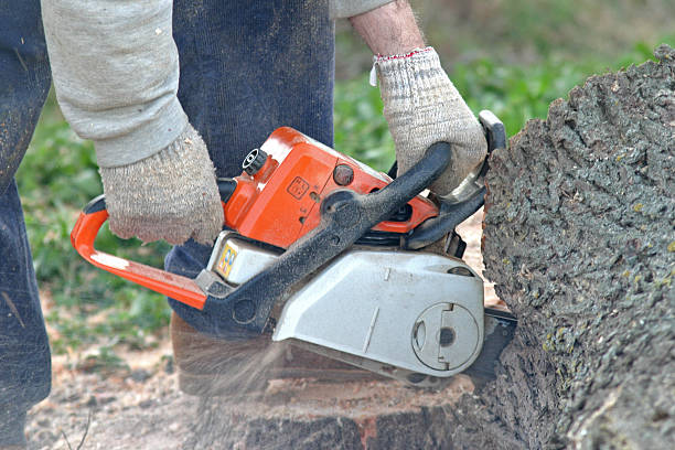 Soil Testing and Treatment in Eureka, MO